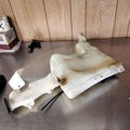 Washer Bottle GMC SIERRA 2500 99 00 01 02 03 04 05 06 07