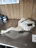 Washer Bottle DODGE CARAVAN 04 05 06 07