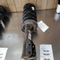 Strut Assembly GMC TERRAIN Left 10 11 12 13 14 15 16 17