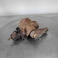 2005-2008 Ford F250 Super Duty Steering Gear (incl. Rack) OEM#7C3Z3504