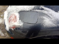 98 99 00 01 02 03 04 05 177.vw1b03 Gray Exterior Gray