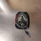 Tail Light Assembly JEEP WRANGLER Right 1987 - 2006