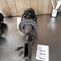 Strut Assembly TOYOTA CAMRY Left 12 13 14 15 16 17