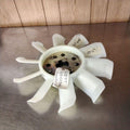 1998-2003 Ford Ranger Fan Blade OEM#F87Z8600EA