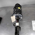 Strut Assembly TOYOTA RAV-4 Left 06 07 08